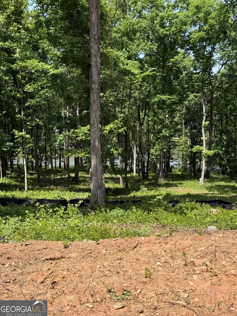 354 Sanford Oak CT Nicholson, GA 30565