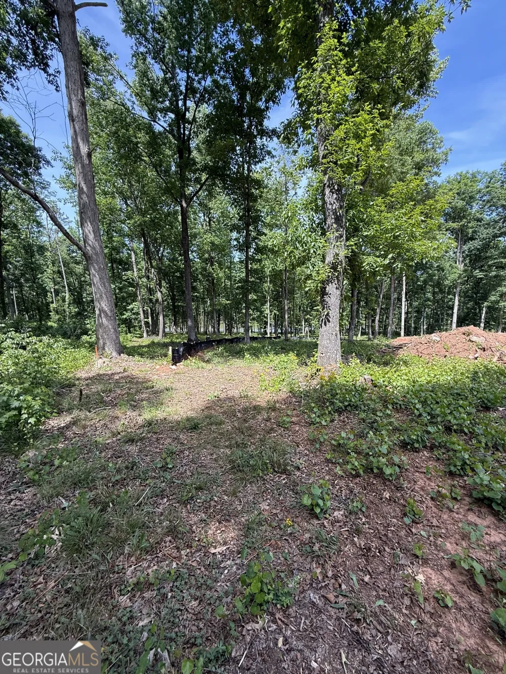 354 Sanford Oak CT Nicholson, GA 30565
