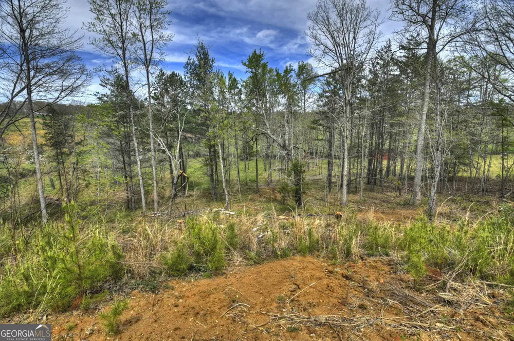139 Cedar LN Blairsville, GA 30512