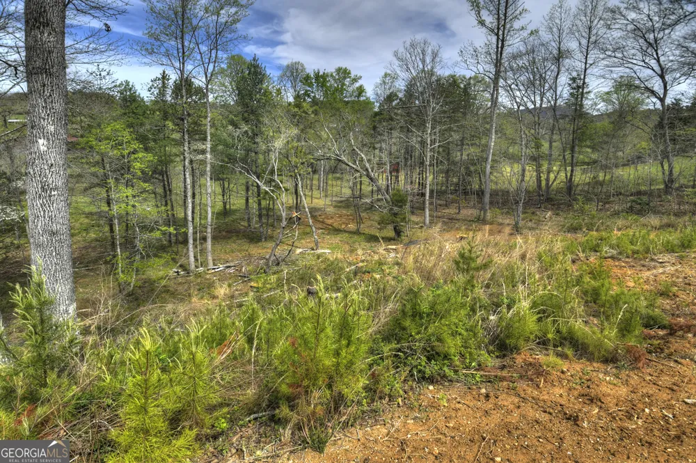 139 Cedar LN Blairsville, GA 30512