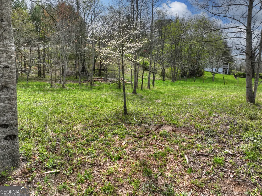 139 Cedar LN Blairsville, GA 30512