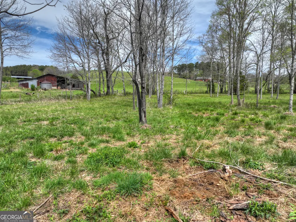 139 Cedar LN Blairsville, GA 30512