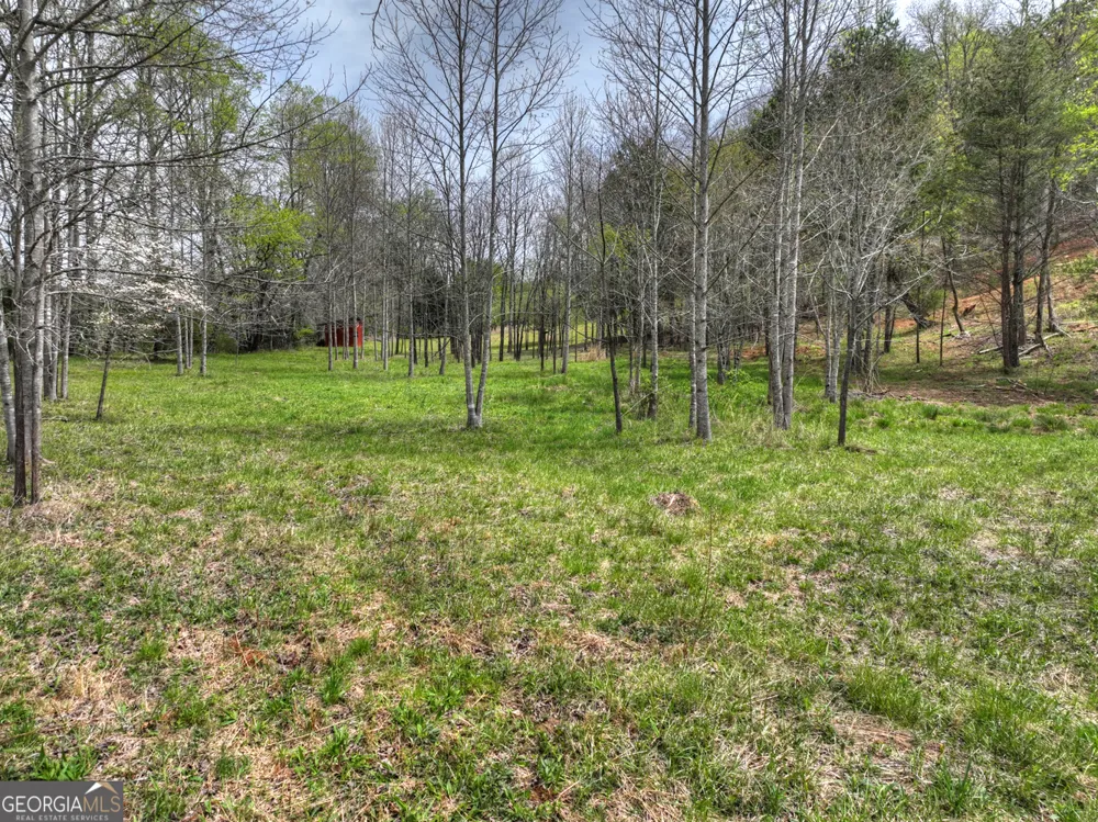 139 Cedar LN Blairsville, GA 30512