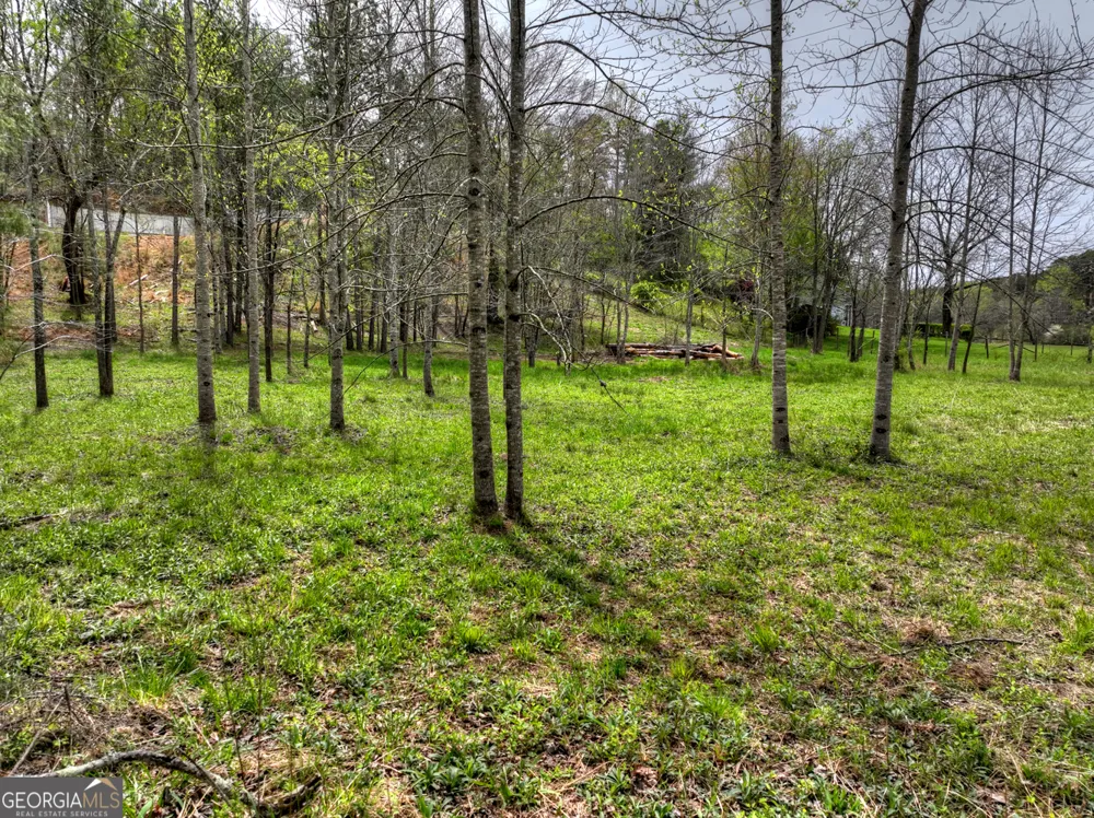 139 Cedar LN Blairsville, GA 30512