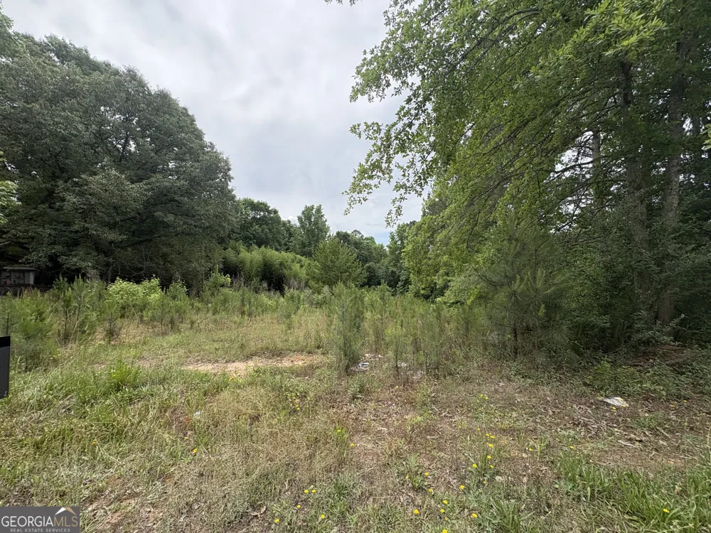 355 N River CIR Hogansville, GA 30230