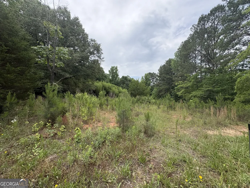 355 N River CIR Hogansville, GA 30230