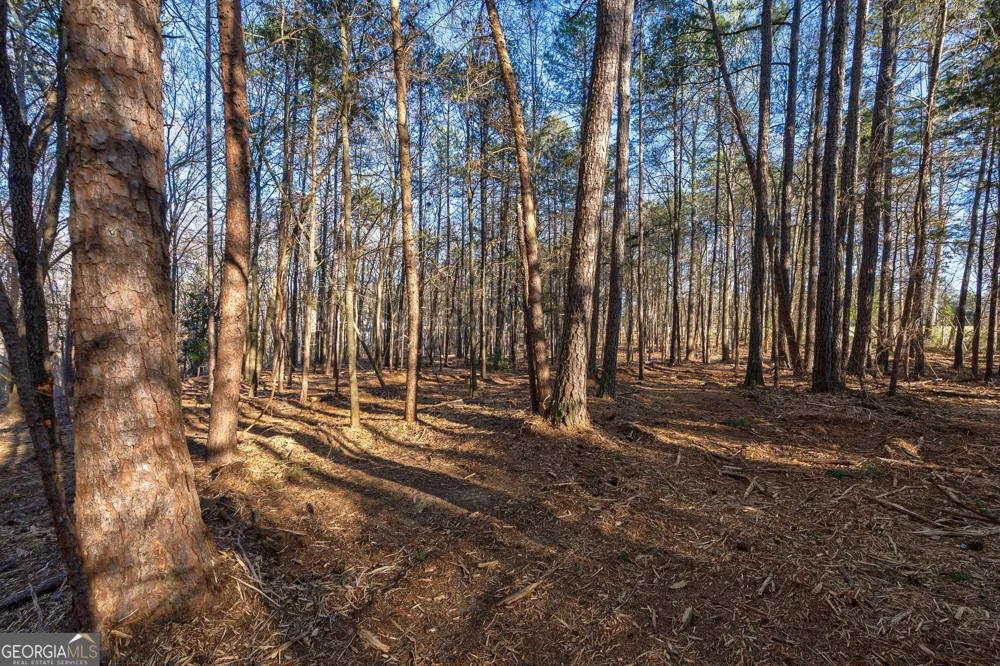 LOT1 Powderbag Creek RD Hartwell, GA 30643