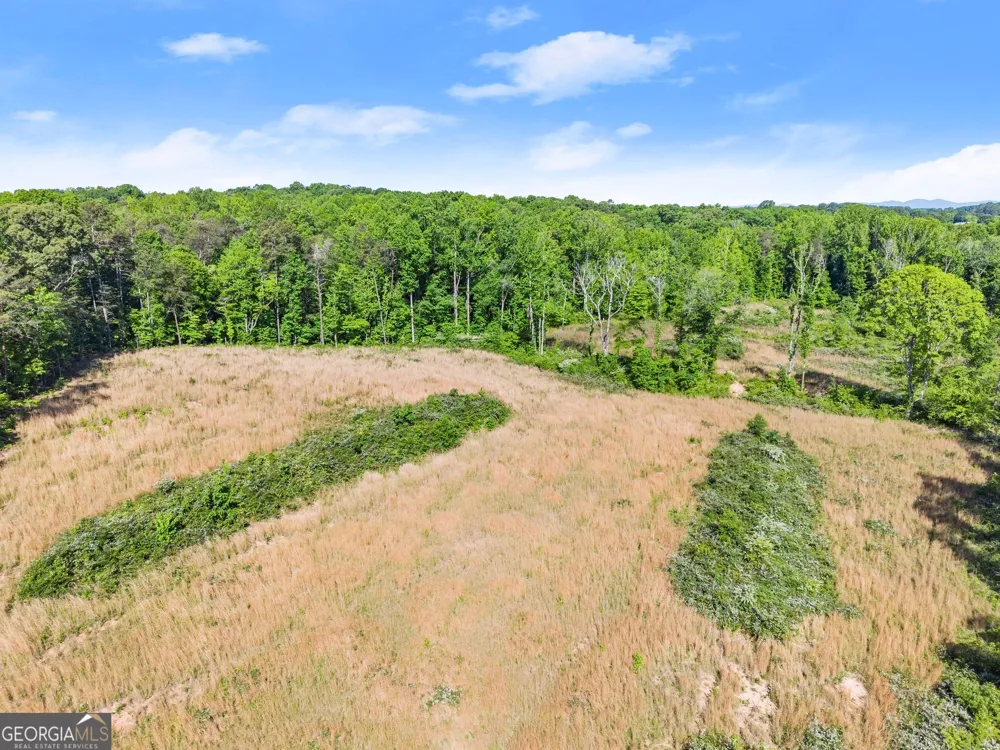 6147 Dahlonega HWY Clermont, GA 30527