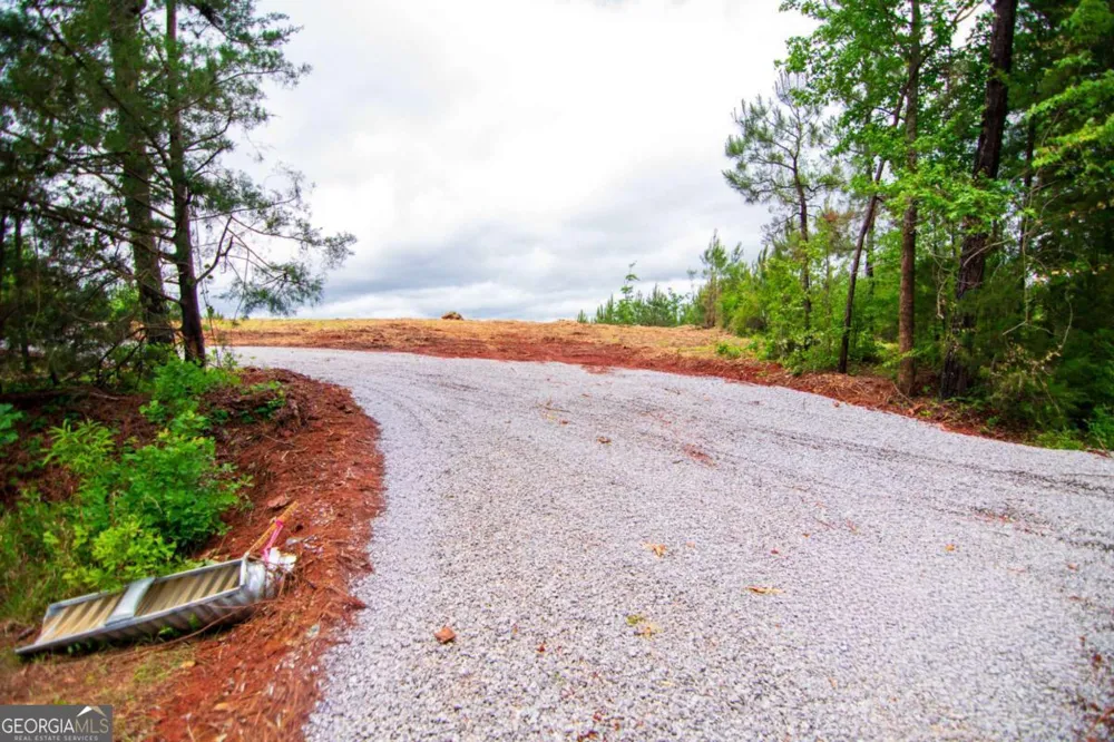 TRACT 2 - 0 ST. PAUL CHURCH RD Shiloh, GA 31826