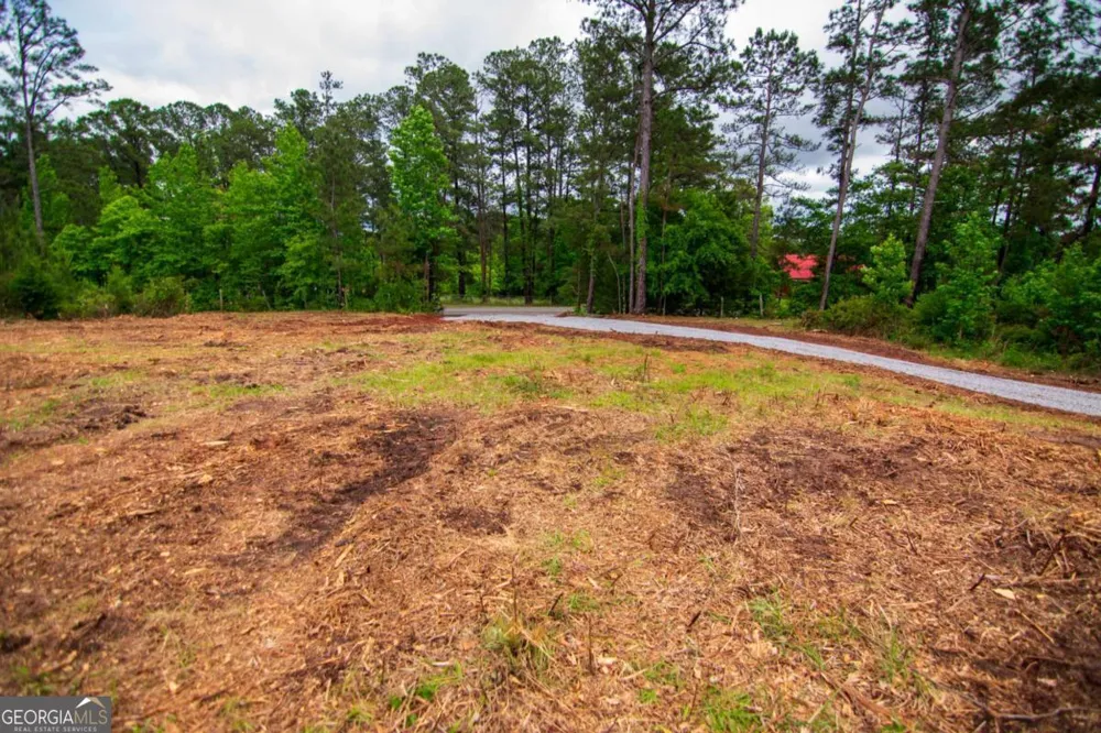 TRACT 2 - 0 ST. PAUL CHURCH RD Shiloh, GA 31826