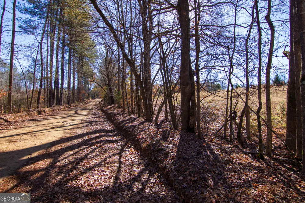 TRACT 2 - 0 ST. PAUL CHURCH RD Shiloh, GA 31826