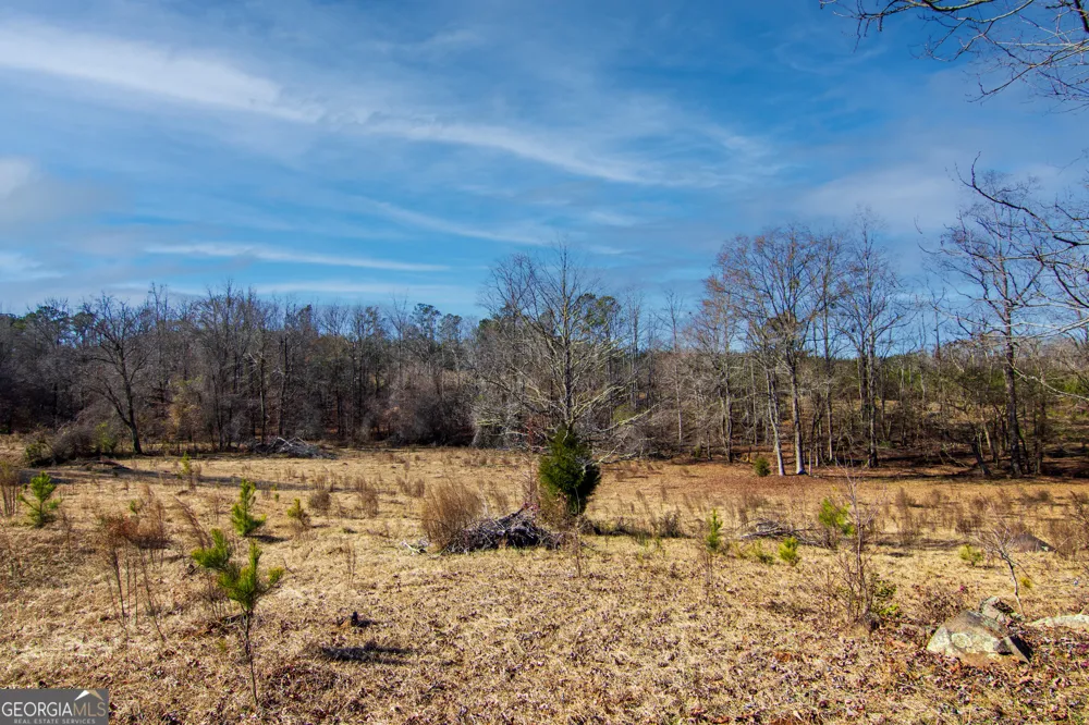 TRACT 2 - 0 ST. PAUL CHURCH RD Shiloh, GA 31826