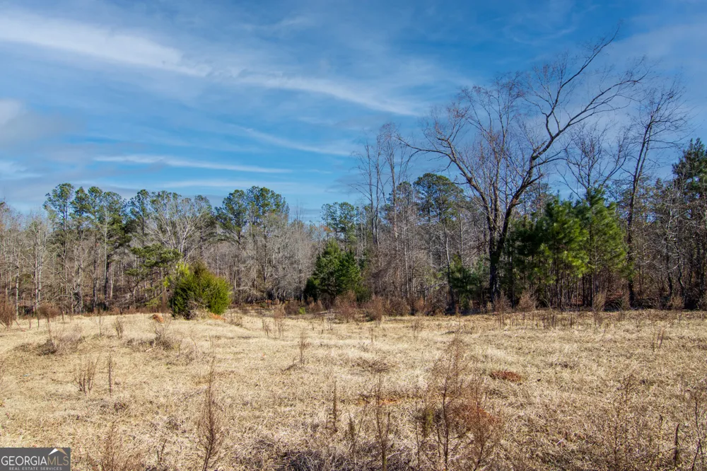 TRACT 2 - 0 ST. PAUL CHURCH RD Shiloh, GA 31826