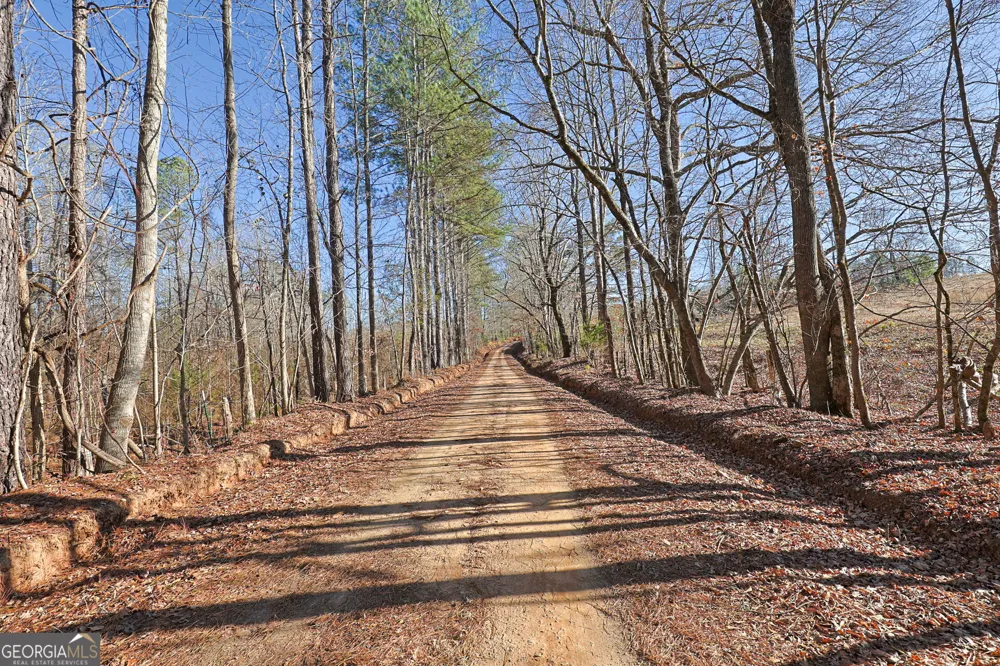 TRACT 2 - 0 ST. PAUL CHURCH RD Shiloh, GA 31826