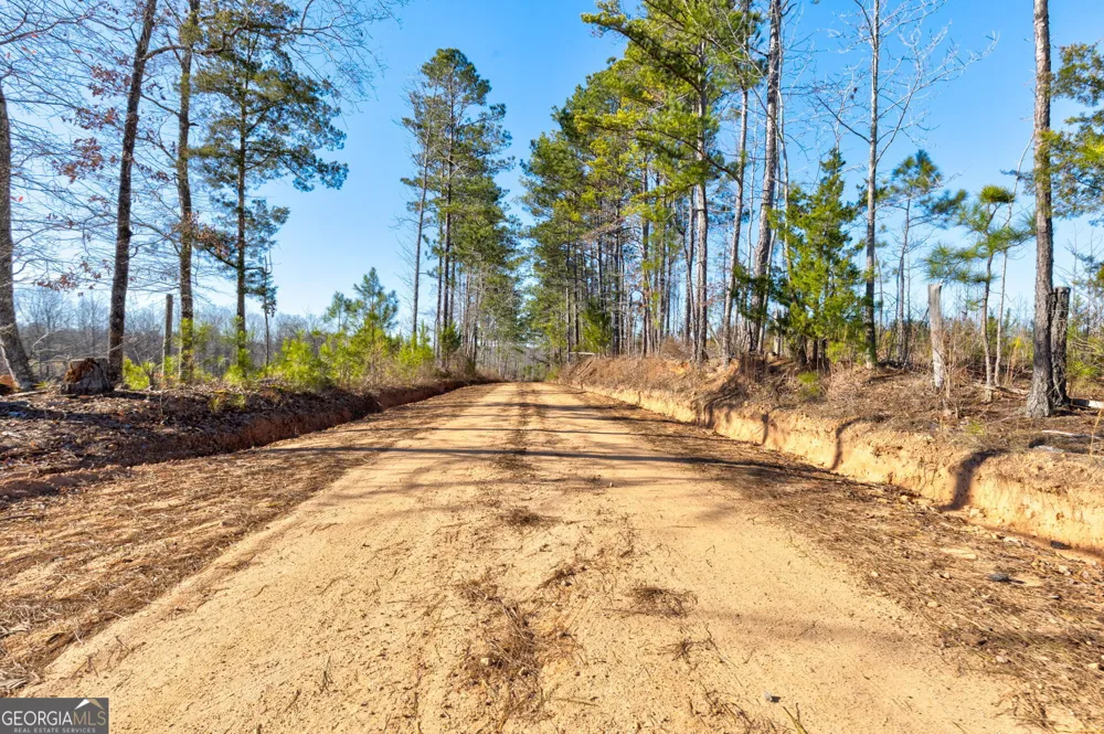 TRACT 2 - 0 ST. PAUL CHURCH RD Shiloh, GA 31826