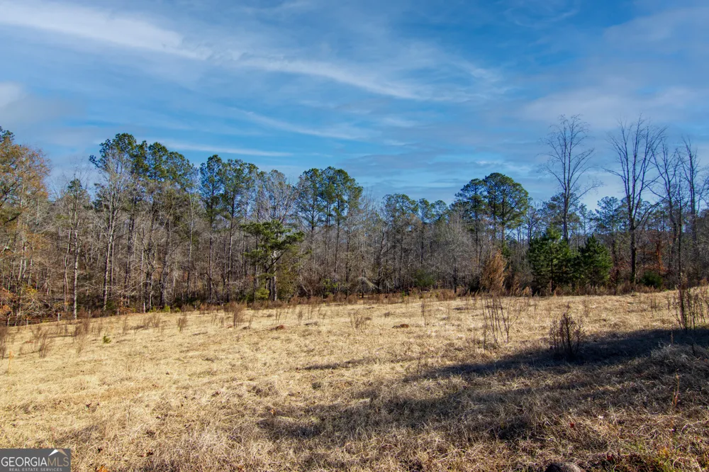 TRACT 2 - 0 ST. PAUL CHURCH RD Shiloh, GA 31826