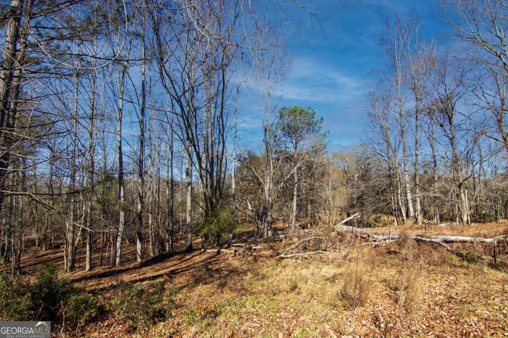 TRACT 2 - 0 ST. PAUL CHURCH RD Shiloh, GA 31826