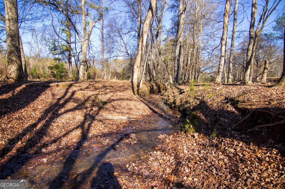 TRACT 2 - 0 ST. PAUL CHURCH RD Shiloh, GA 31826