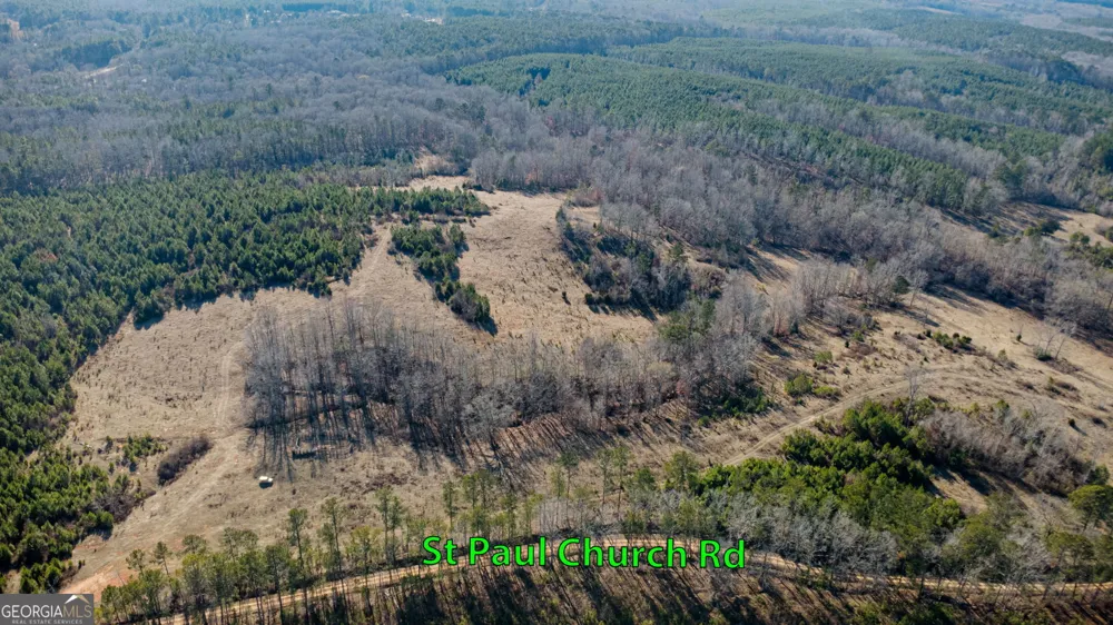 TRACT 2 - 0 ST. PAUL CHURCH RD Shiloh, GA 31826