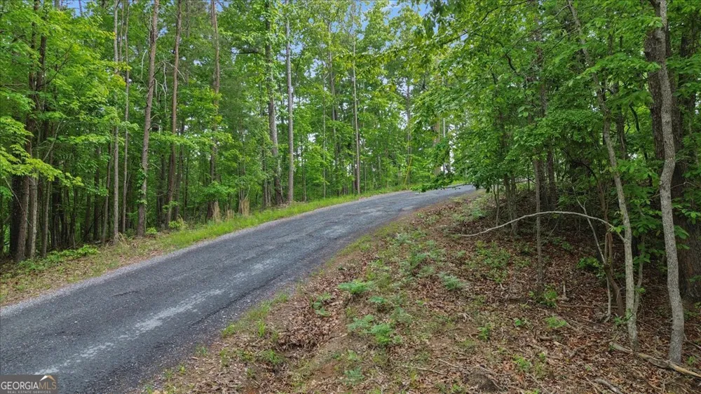 1563 Dover Circle Ranger, GA 30734