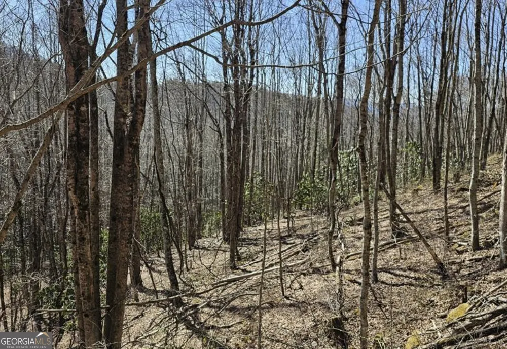 0 Highland Gap RD Scaly Mtn, NC 28775
