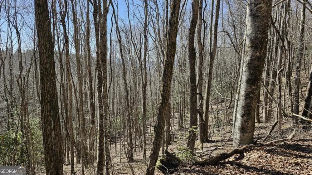 0 Highland Gap RD Scaly Mtn, NC 28775
