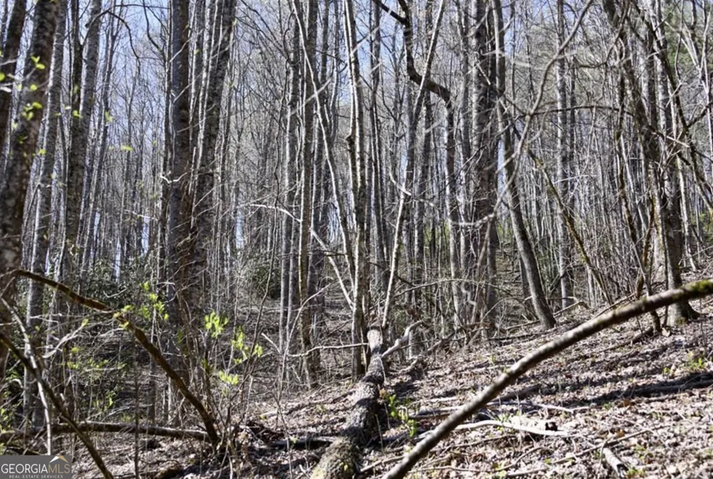 0 Highland Gap RD Scaly Mtn, NC 28775