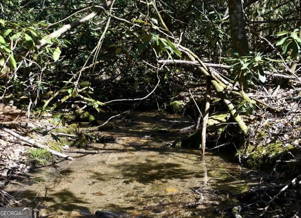 0 Highland Gap RD Scaly Mtn, NC 28775