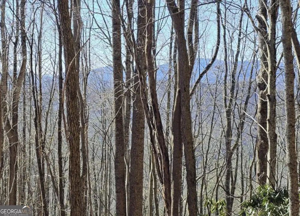 0 Highland Gap RD Scaly Mtn, NC 28775