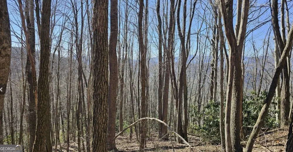 0 Highland Gap RD Scaly Mtn, NC 28775