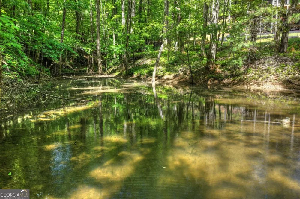 197 Tipton CT Cherry Log, GA 30522