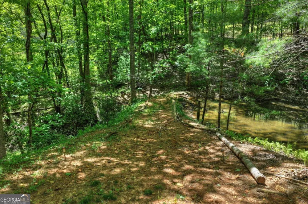 197 Tipton CT Cherry Log, GA 30522