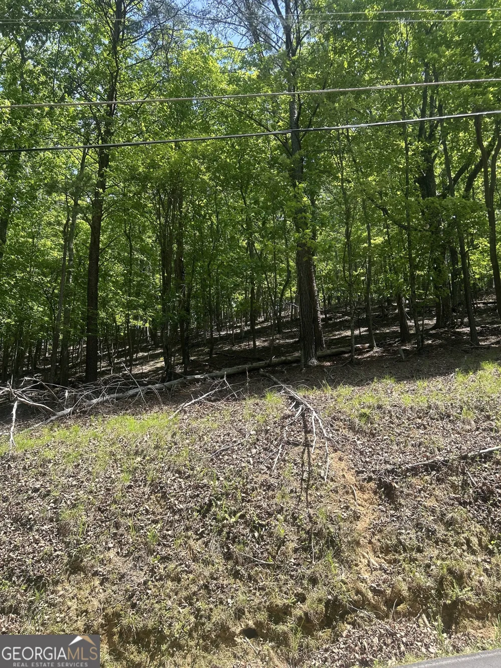381 Hillside DR Waleska, GA 30183