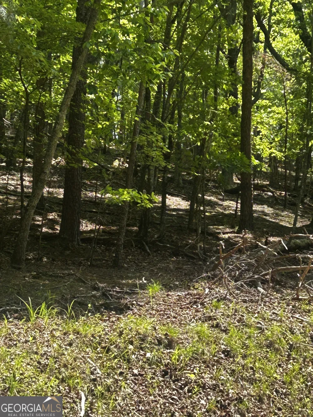 381 Hillside DR Waleska, GA 30183