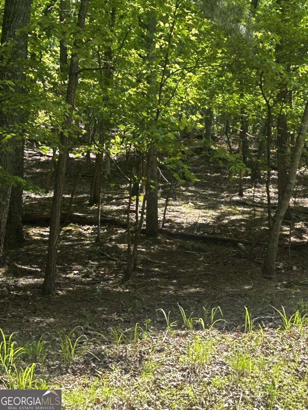 381 Hillside DR Waleska, GA 30183