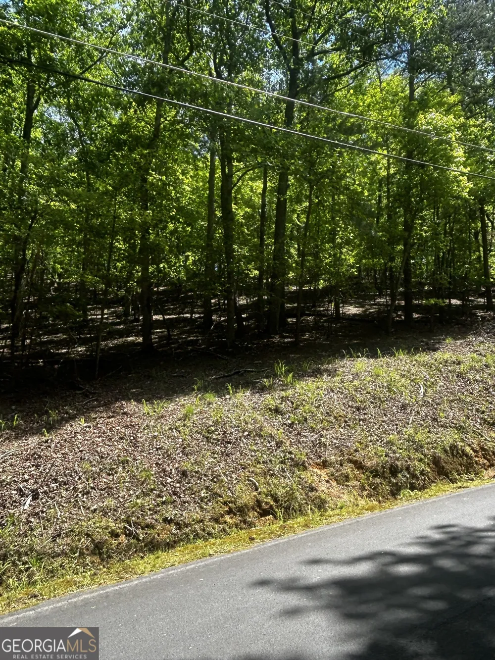 381 Hillside DR Waleska, GA 30183
