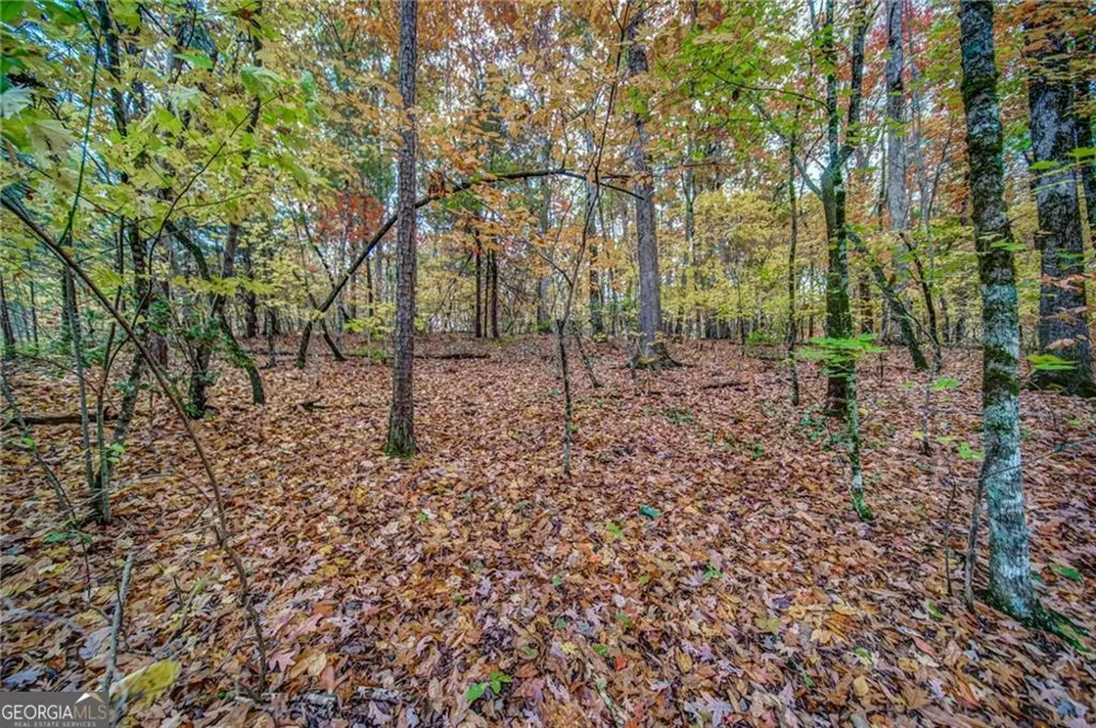 543 Cove Lake DR Marble Hill, GA 30148
