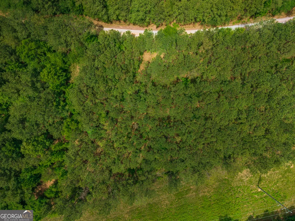 0 Old Haul RD Dry Branch, GA 31020