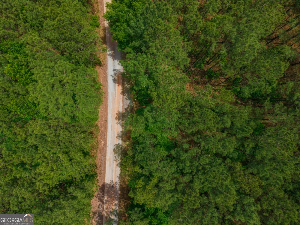 0 Old Haul RD Dry Branch, GA 31020