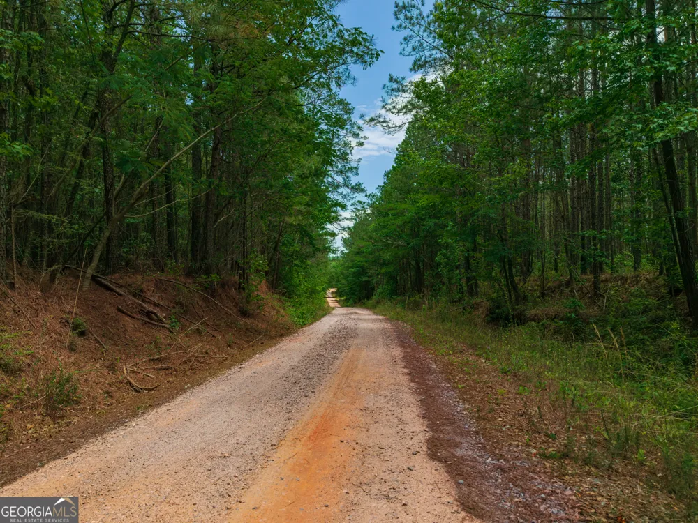 0 Old Haul RD Dry Branch, GA 31020