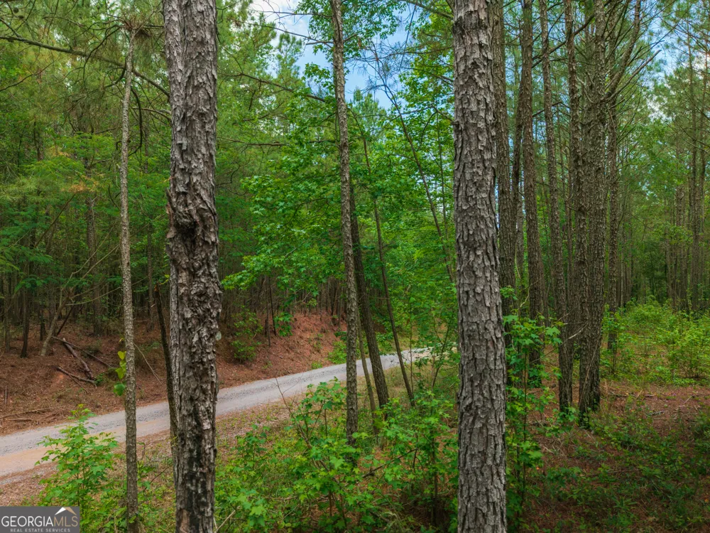 0 Old Haul RD Dry Branch, GA 31020