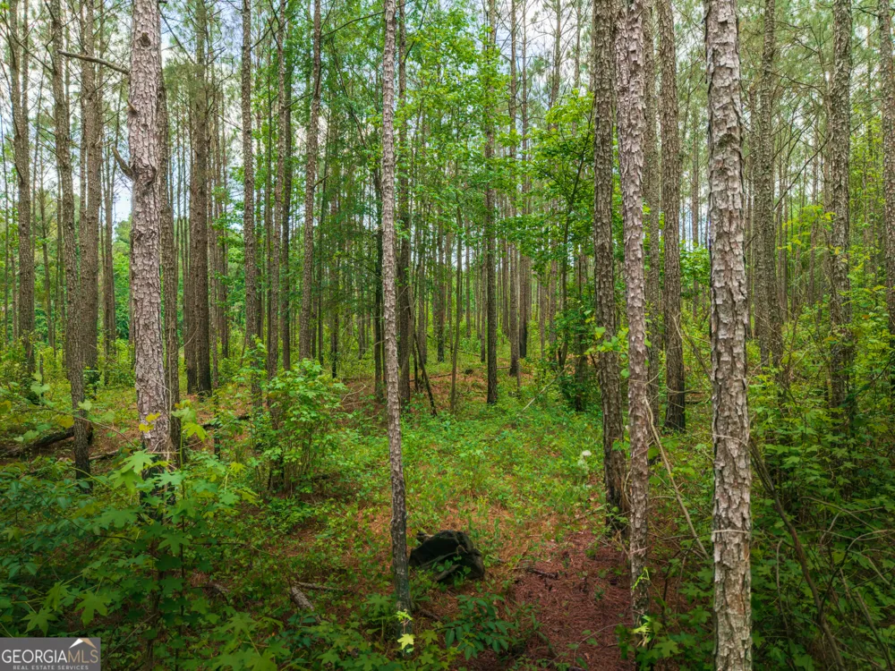 0 Old Haul RD Dry Branch, GA 31020
