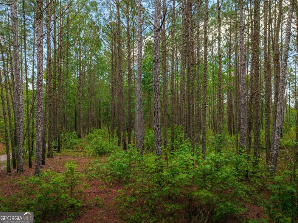 0 Old Haul RD Dry Branch, GA 31020