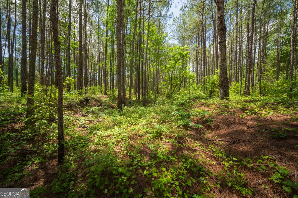 0 Old Haul RD Dry Branch, GA 31020