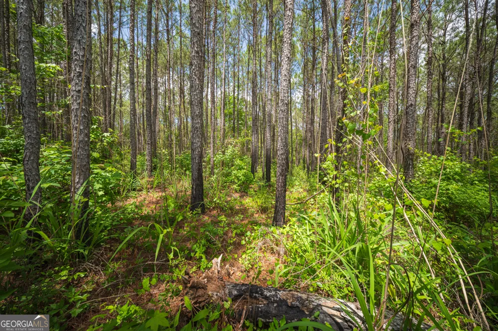 0 Old Haul RD Dry Branch, GA 31020