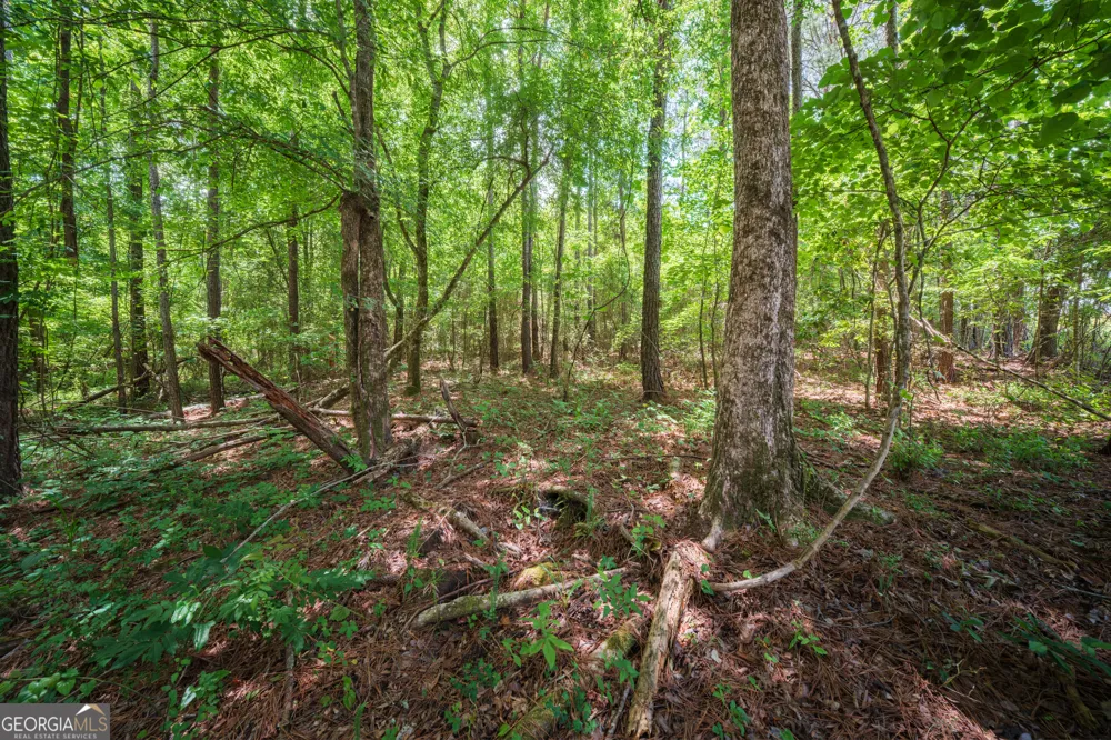 0 Old Haul RD Dry Branch, GA 31020