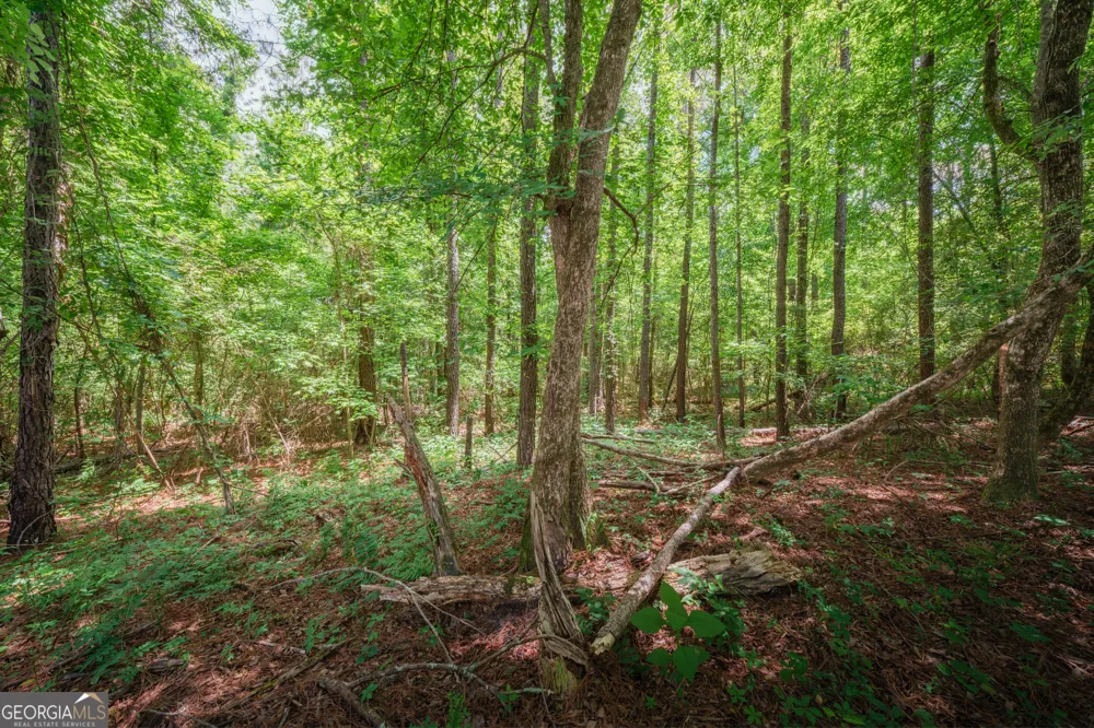 0 Old Haul RD Dry Branch, GA 31020