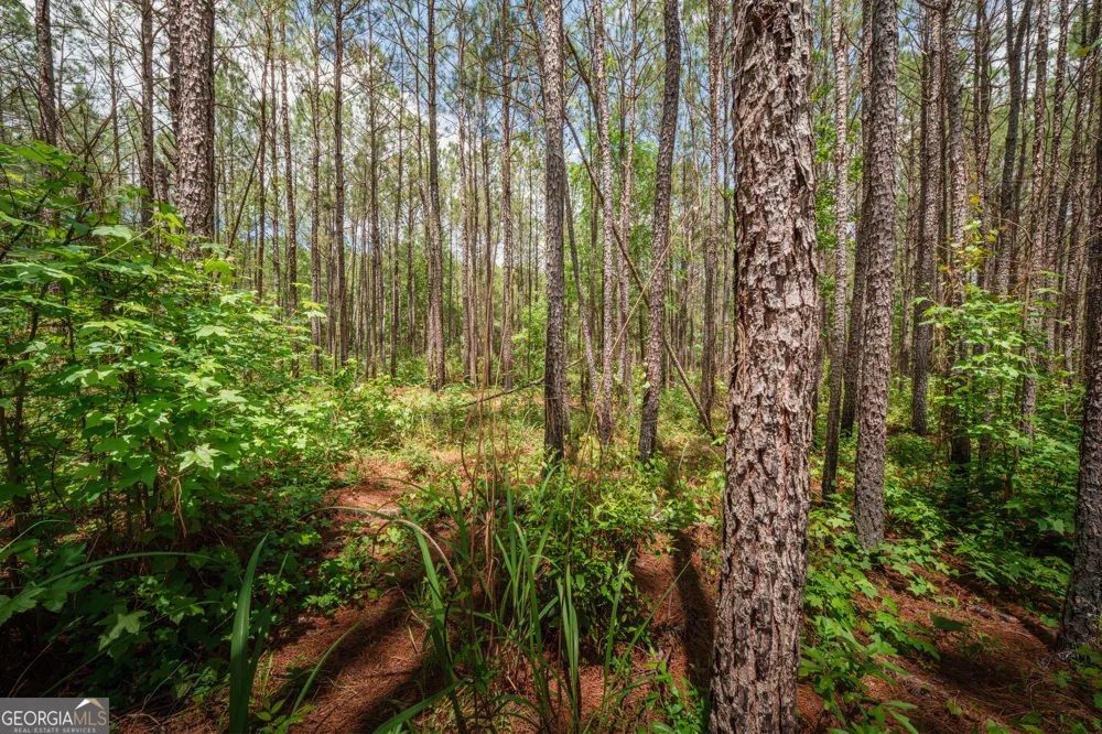 0 Old Haul RD Dry Branch, GA 31020