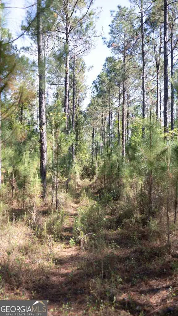 0 Reedy Branch RD Statesboro, GA 30458