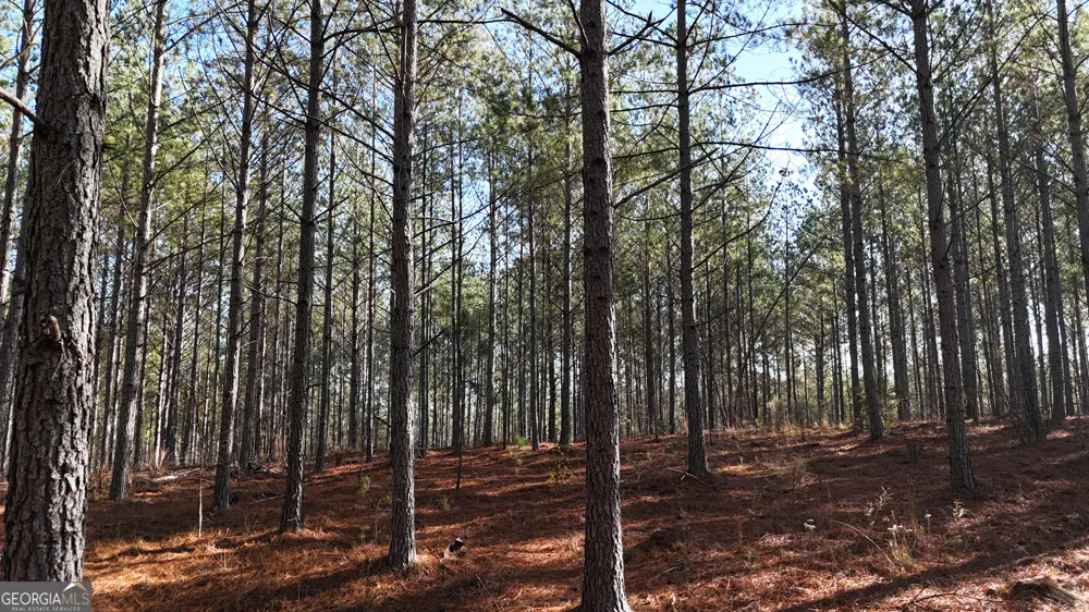 0 Gaylor RD Lyerly, GA 30730